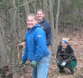 trail clearing