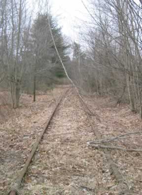 trail