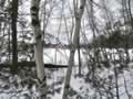 Rte 110 - Mrs. Nelson's