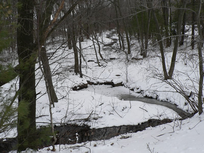 Rte 110 Near Mobil Station